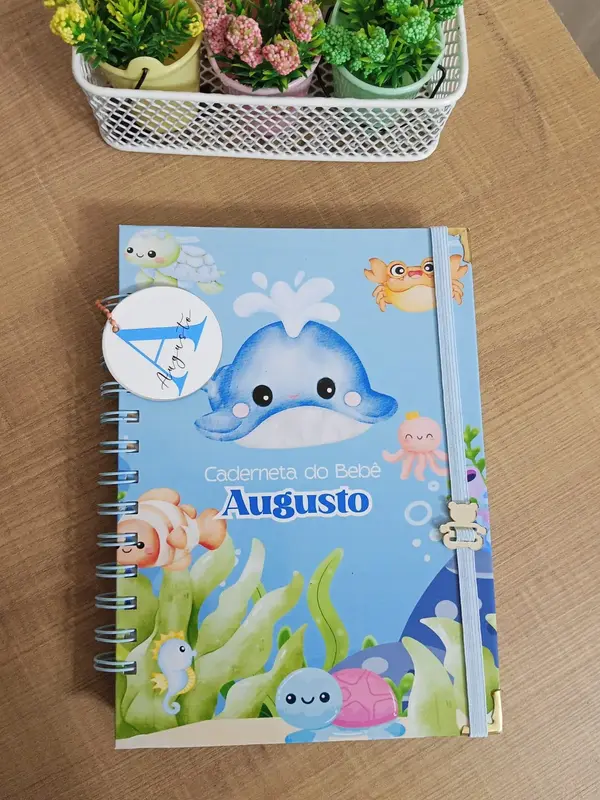 Caderneta de Vacinação Menino